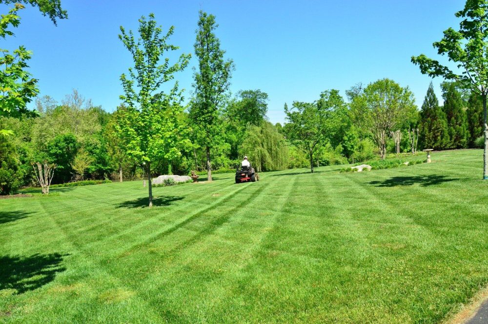 Choose A Mower Based On Your Lawn Size And Terrain For Efficient Mowing