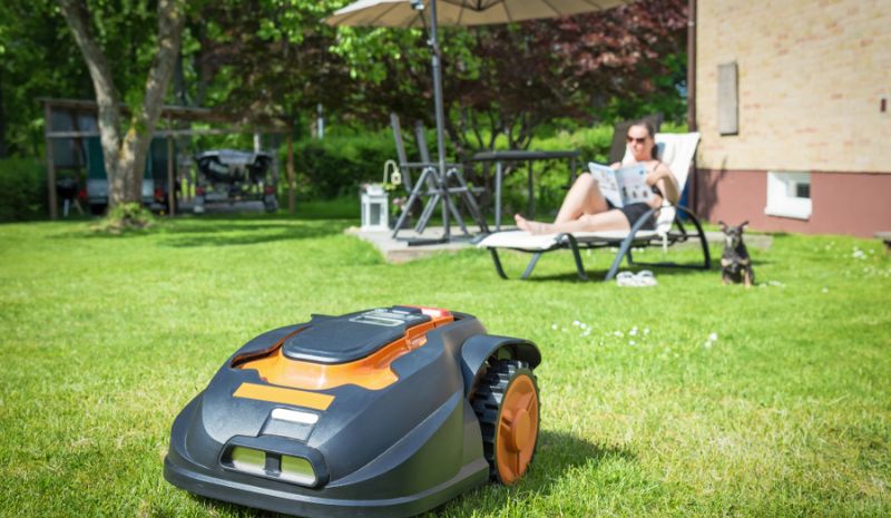 Make Your Decision When Choosing A Robot Lawn Mower