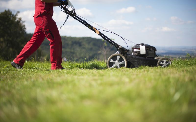 Self Propelled Lawn Mowers Use A Motor To Power The Wheels Making Lawn Care Easier