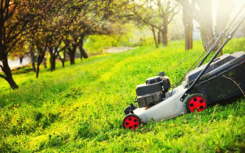 Self Propelled Mowers Save Time And Effort On Large Or Uneven Lawns