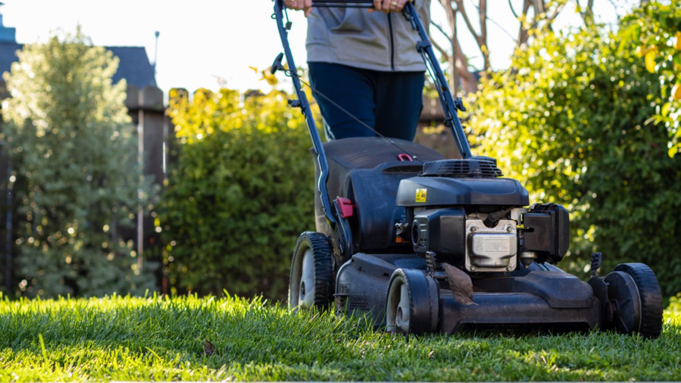 What Is A Self-Propelled Lawn Mower